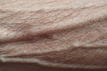 Close-up of skin texture and patternsの写真素材