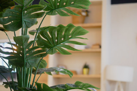 Green plant decorating a cozy indoor space with shelvesの写真素材