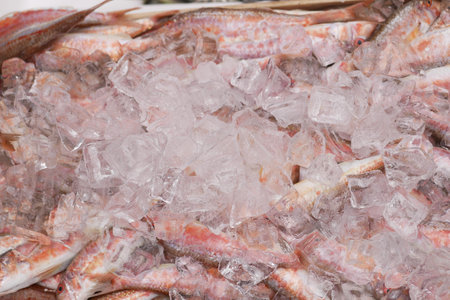 Freshly caught fish on ice at a market in early morningの写真素材