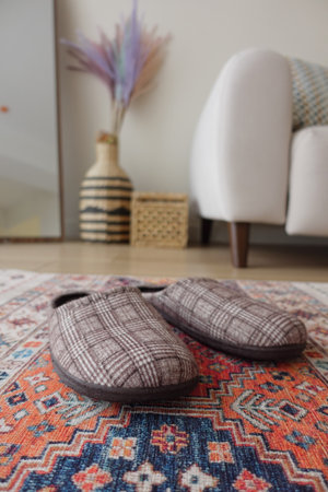 Cozy slippers on a patterned rug in a modern living roomの写真素材
