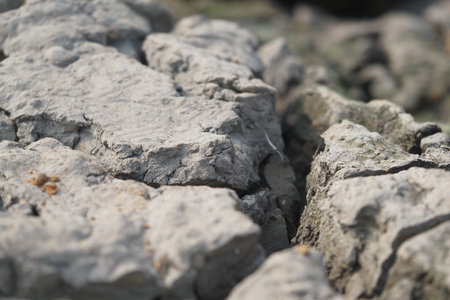 Cracked earth in a dry landscape during mid-afternoonの写真素材