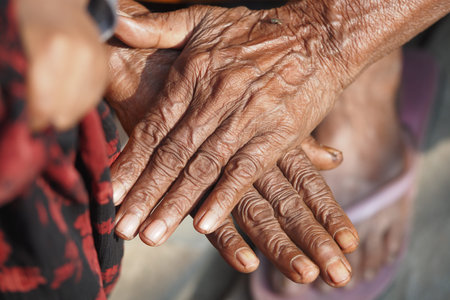 Elderly hands showing age and experience in a warm settingの写真素材