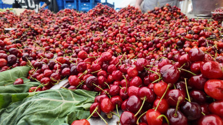 Fresh cherries displayed at a market stall in summerの写真素材
