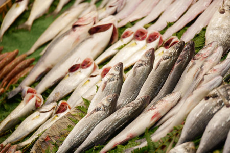 Fresh fish displayed at a local market in the early morning