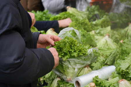 Fresh greens being selected at a market stallの写真素材