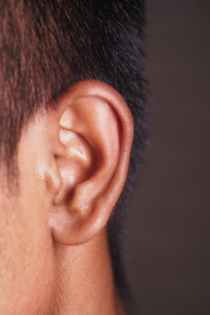 Detailed view of a human ear in natural light settingの写真素材