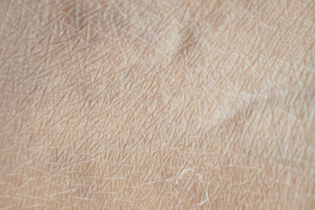 Close-up view of dry textured skin revealing fine details