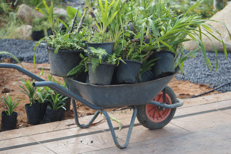 Wheelbarrow full of potted plants in garden settingの写真素材