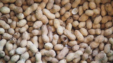 Freshly harvested peanuts on display in a marketの写真素材