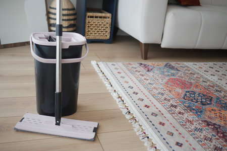 Cleaning supplies in living room next to colorful rug