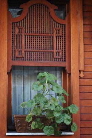 Wooden window with decorative grill and potted plantの写真素材