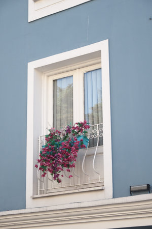 Colorful flowers hang gracefully from a balcony under a clear sky.
