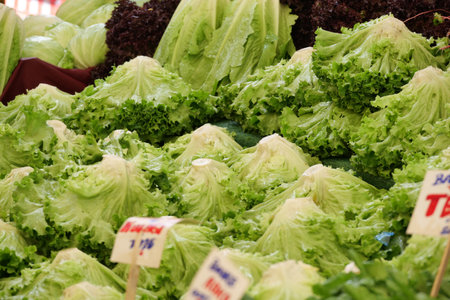 Fresh lettuce variety at local market in sunny afternoonの写真素材