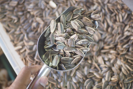 Sunflower seeds in a metal scoop at market stallの写真素材