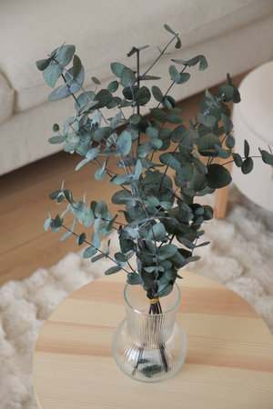 Eucalyptus branches in a clear glass vase on a wooden tableの写真素材