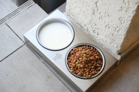 Pet feeding station set up on a modern patioの写真素材
