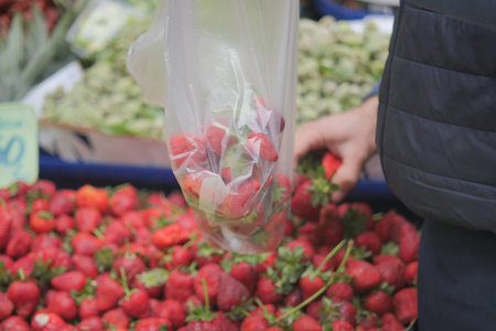 Picking ripe strawberries at a local market in springの写真素材