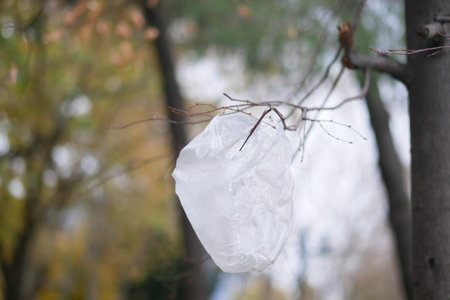 Plastic bag caught in tree branches during autumn