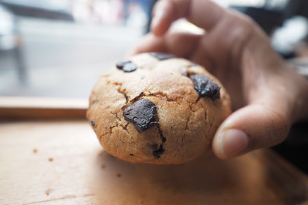 Freshly baked chocolate chip cookie held in handの写真素材