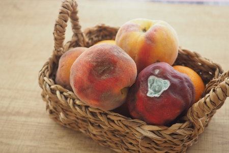 Rotten fruits in a wicker basket on a wooden tableの写真素材