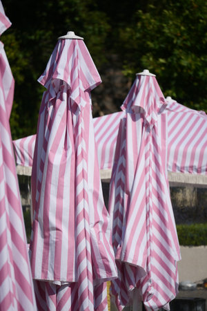 Beach umbrellas stand neatly in a row under the sunの写真素材