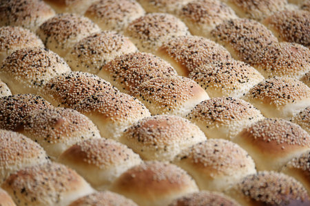 Freshly baked sesame rolls arranged in neat rows