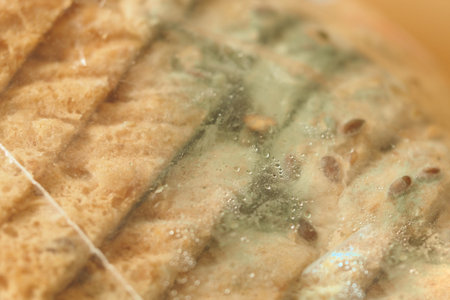 Freshly baked bread loaves in transparent packaging