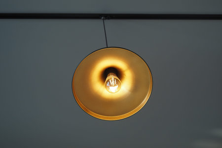 Elegant pendant light enhances modern interior design