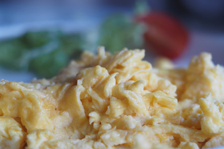 Delicious scrambled eggs with fresh salad on a plateの写真素材