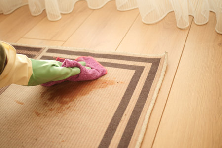 Cleaning a dirty rug during the day at homeの写真素材