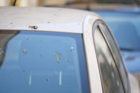 Close-Up of a Car Windshield With Dirt and Imperfections Outdoorsの写真素材