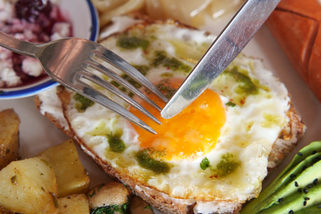 Delicious breakfast with fried egg on toasted breadの写真素材