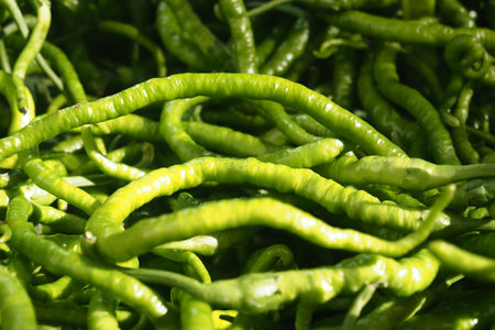 Green chili peppers piled together at a local marketの写真素材