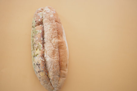 A piece of mold bread on a light orange background
