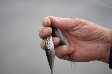 Fisherman holds two small fish caught at lakeside