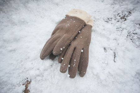 Warm gloves resting on fresh snow outdoorsの写真素材