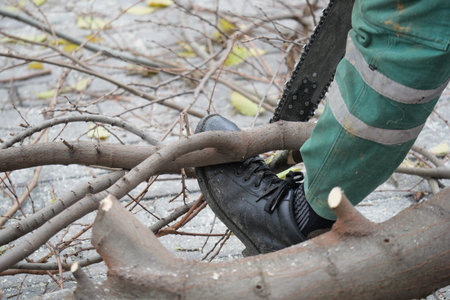 Worker cuts branches with chainsaw on pavement