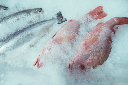 Fresh fish displayed on ice at seafood market for saleの写真素材