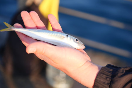 Hand holding a freshly caught fish by the water