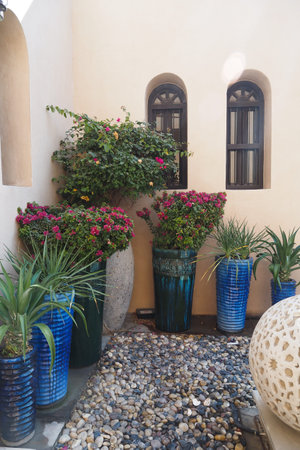 Bright plants adorn a peaceful garden corner