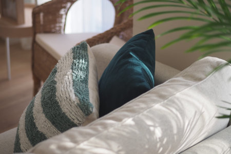 Decorative pillows arranged on a cozy living room couch