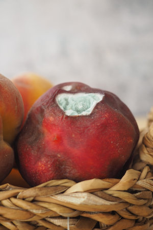 mold peaches in a basket show signs of decay