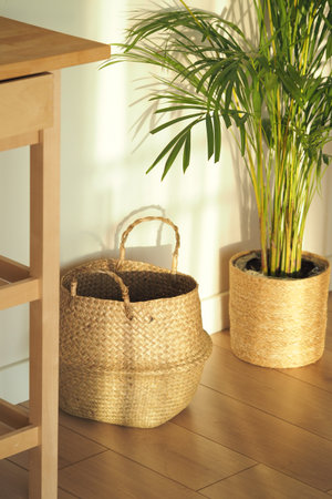 Woven basket and potted plant in a sunlit room