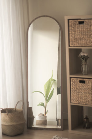 Decorative mirror reflecting green plant in cozy room