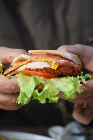 Delicious chicken sandwich with fresh vegetables in handの写真素材