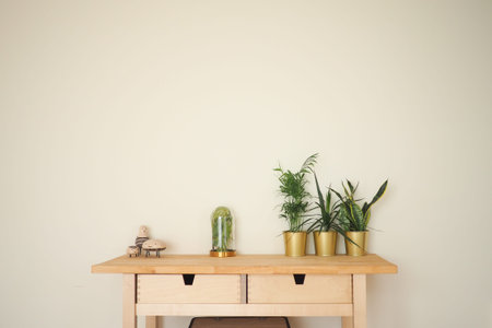 Elegant home decor with plants and collectibles on a tableの写真素材