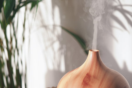 Aromatherapy diffuser releasing steam in a serene settingの写真素材