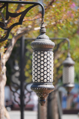 Lanterns hanging in the garden during a sunny dayの写真素材