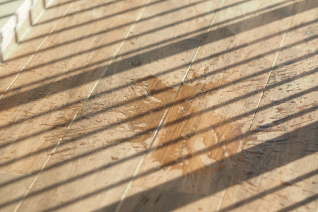 Sunlight casting shadows on wet wooden floorの写真素材