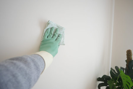 Cleaning a wall with green gloves in a bright roomの写真素材